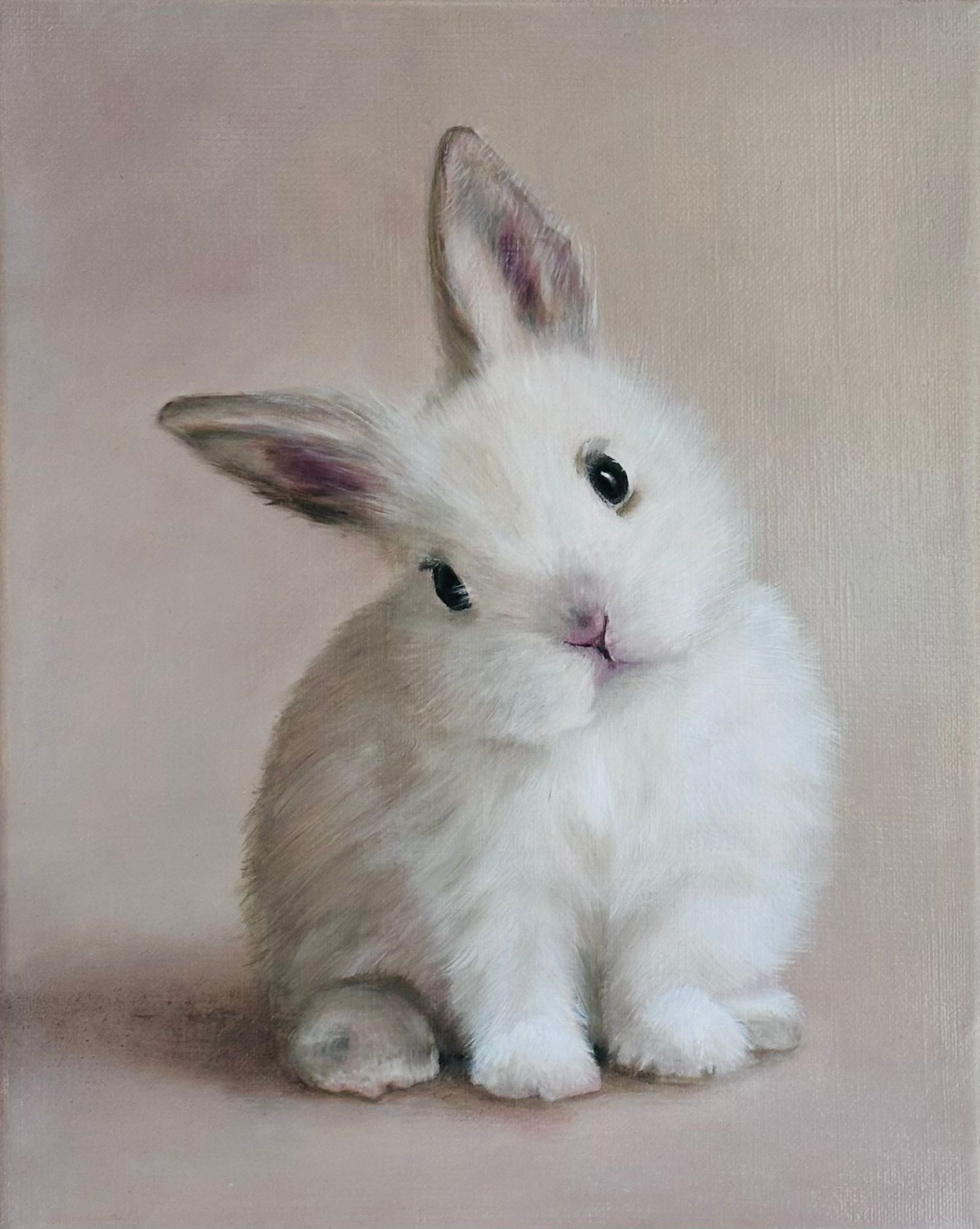 Fluffy Bunny